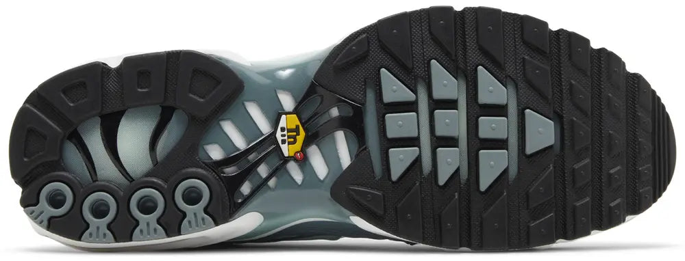 Air Max Plus 'Palm Pack - Waterway'