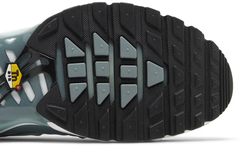 Air Max Plus 'Palm Pack - Waterway'